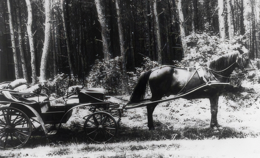 Die Jagdkutsche von Heinrich Fisseler im Jahre 1935.