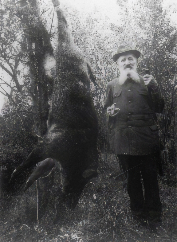 Bernhard Heermann hatte das Jagdglück im Lahner-Northolz einen Keiler (ausgenommen 222 Pfund) zu erlegen, ebenso war die Jagdgöttin Diana Heinrich Fissler sen. holt, der ebenfalls einen Keiler (ausgenommen 151 Pfund) erlegte.