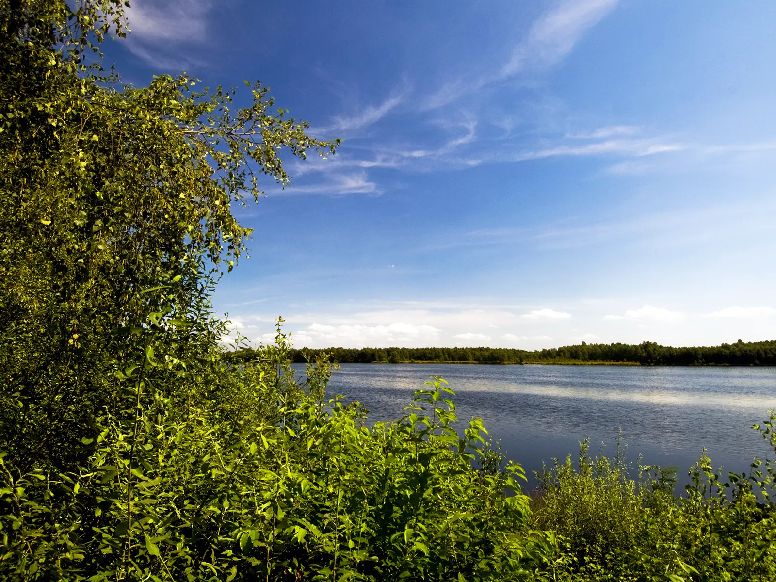 Naturgeschichte Werlte